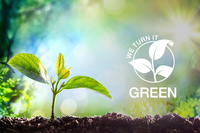 Kleiner Pflanzenspross mit dem "We turn it green"-Logo